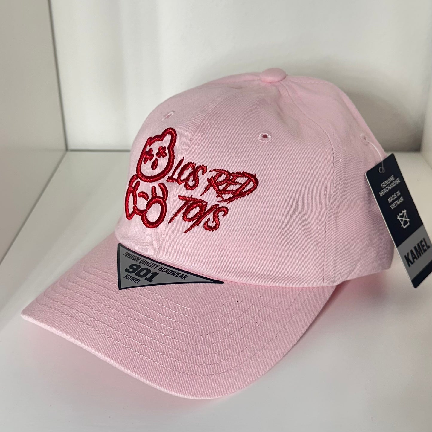 LRT NEW Logo PINK Hat